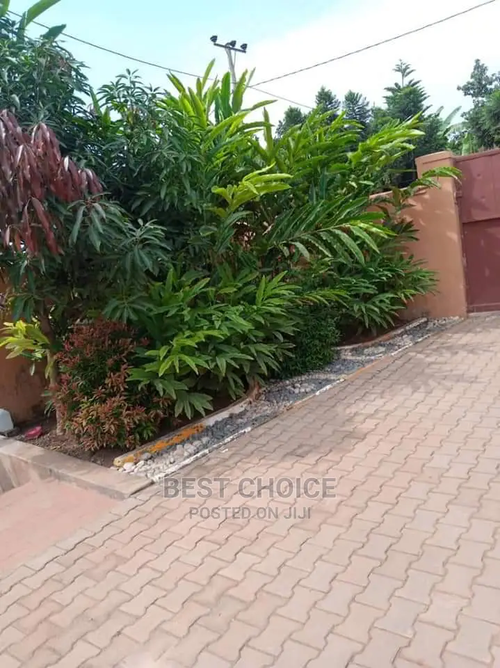Land Scaping Experts.