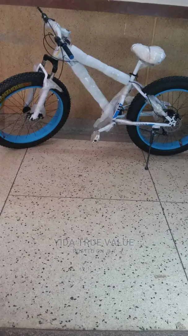 Big Tyre Bicycle