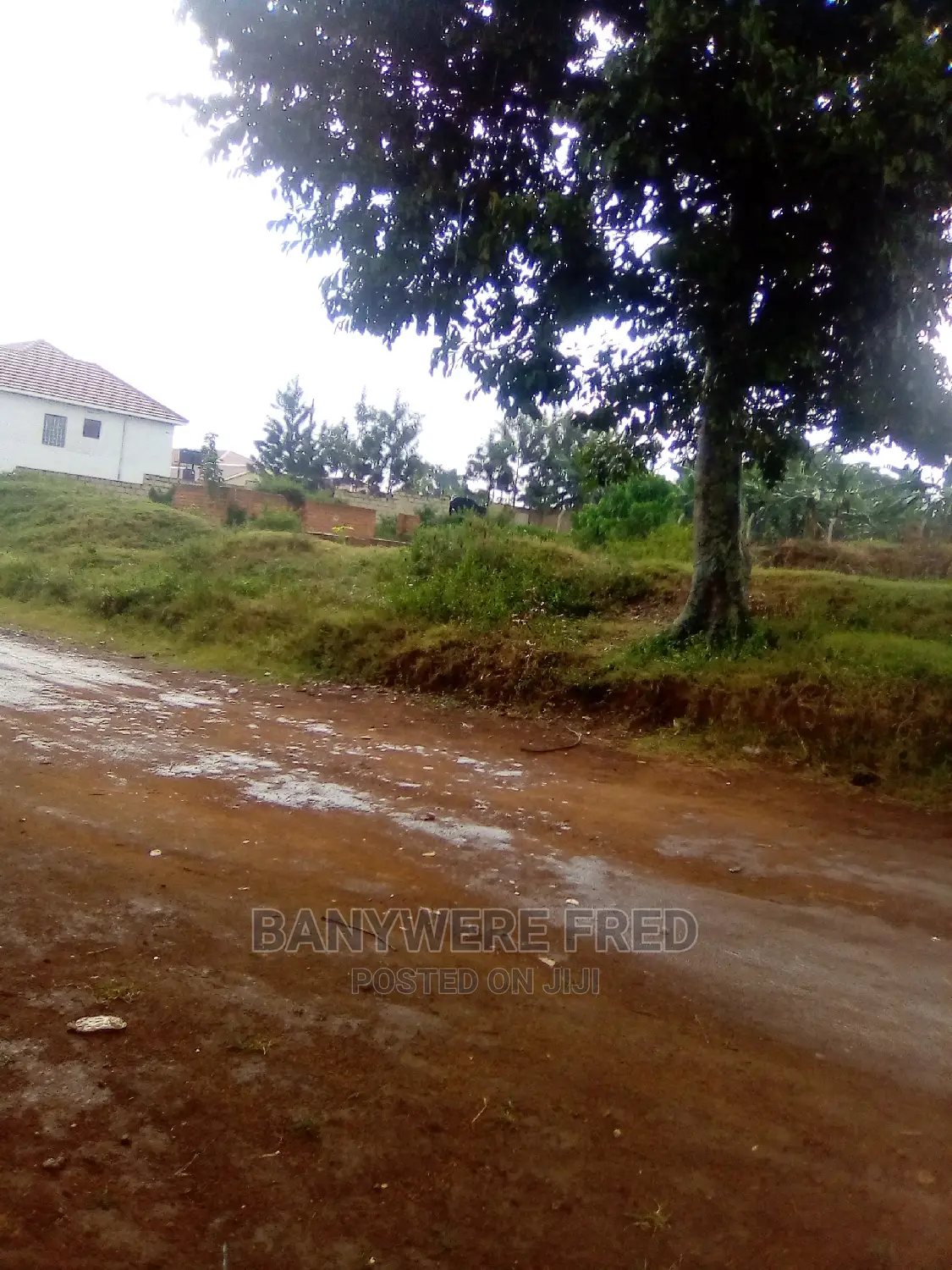 50/100 Plot for Sale in Kayunga Senge Wakiso