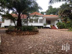 House For Rent In Kololo