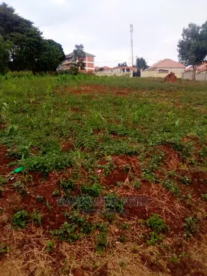 50/100 Plot for Sale in Nsasa Kira