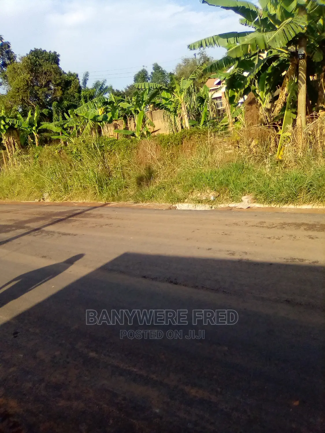 Plot for Sale 50/100 in Zilobwe Town in Luweero