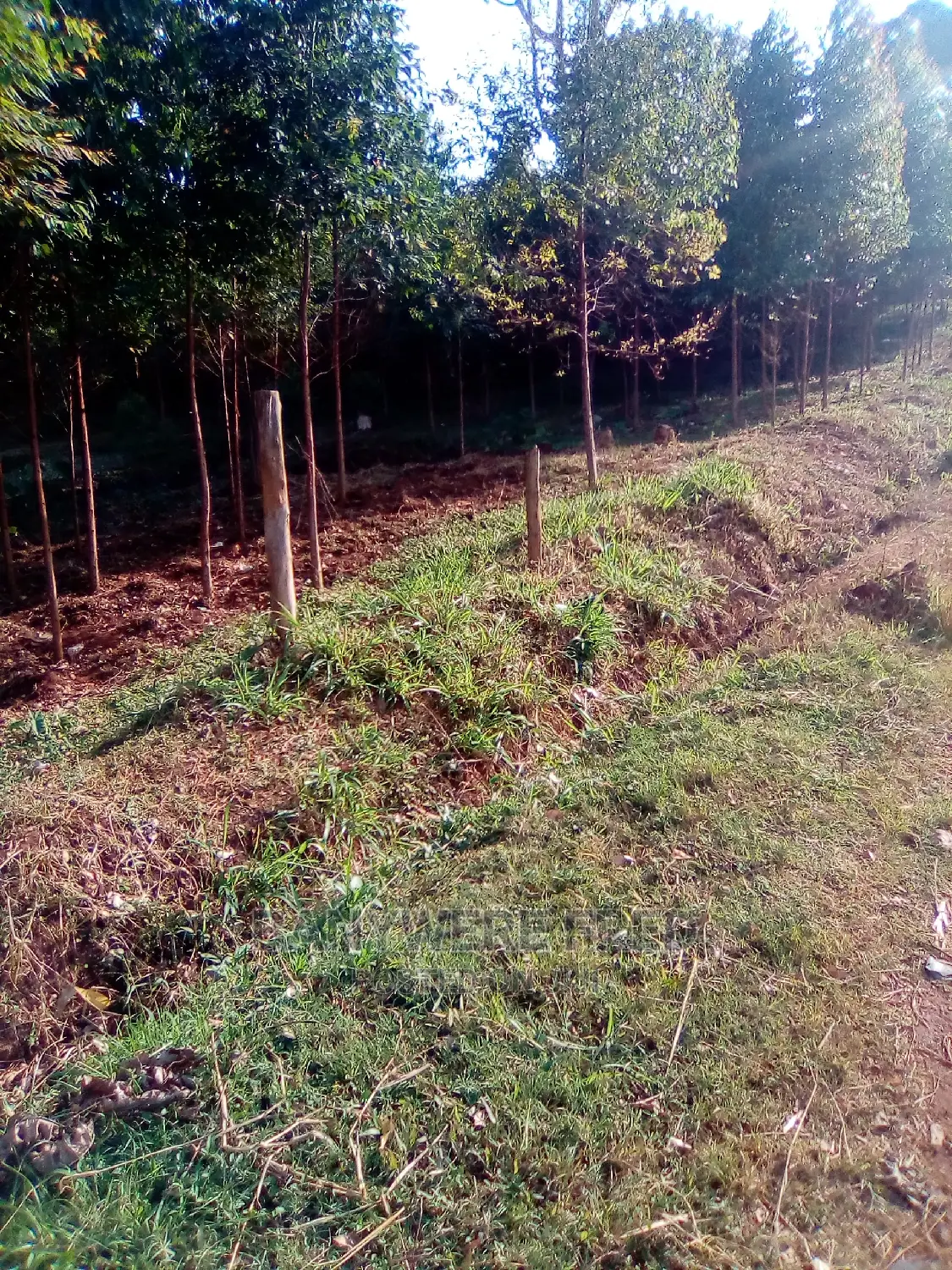 Nkoko Njeru Kisoga Road 1acre of Land for Sale in Mukono
