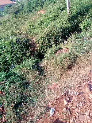 Katwe Kisoga Road in Mukono 50/100 Plot for Sale