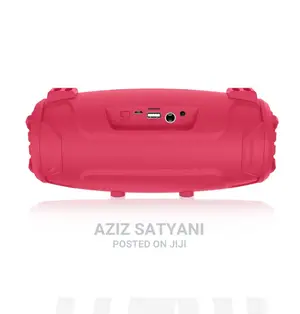 Outdoor Karoke Wireless Speaker With Microphone NR 6012m