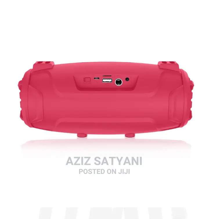 Outdoor Karoke Wireless Speaker With Microphone NR 6012m
