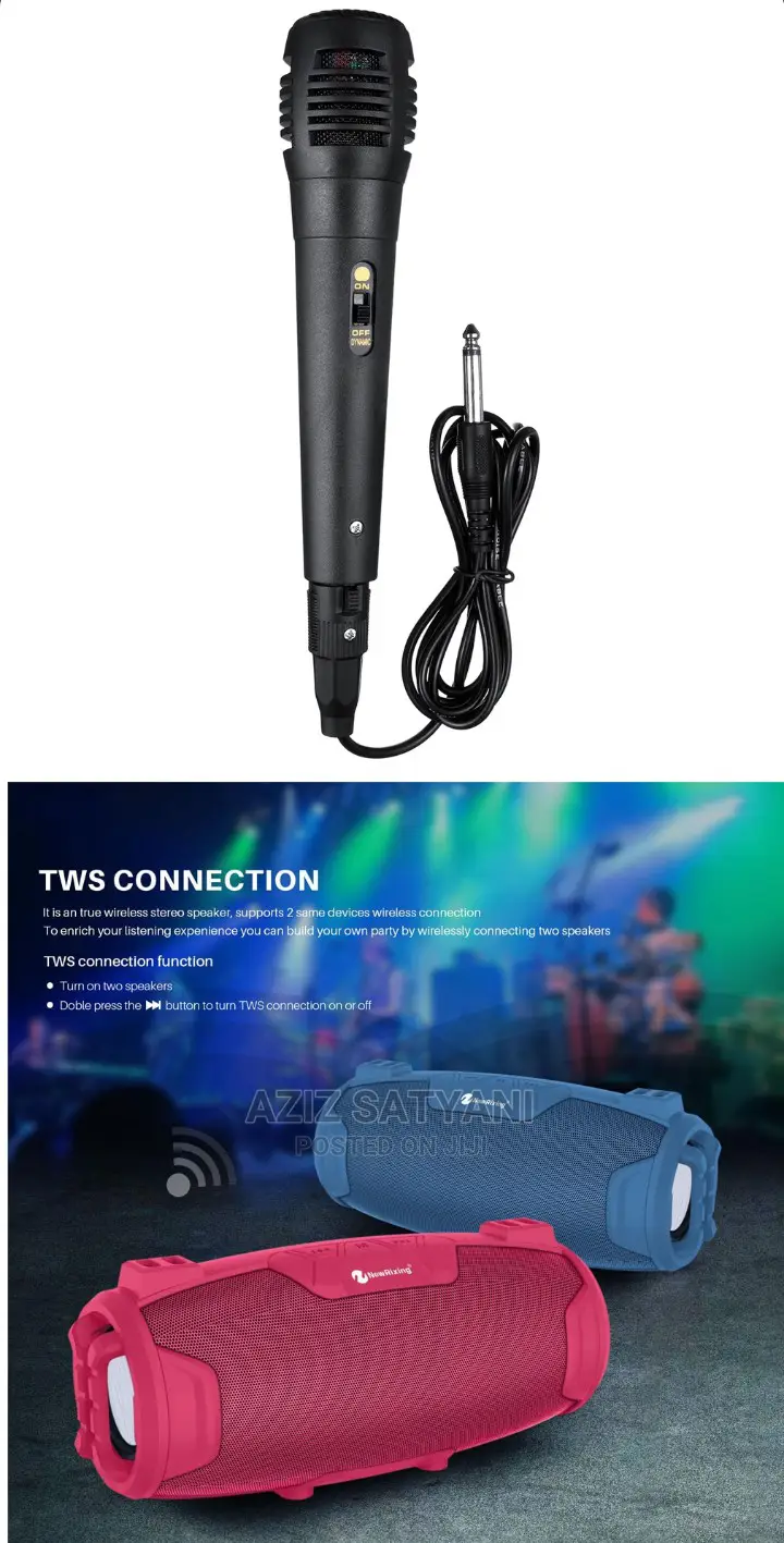 Outdoor Karoke Wireless Speaker With Microphone NR 6012m