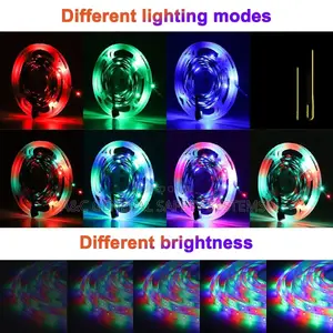 Neon Strip Lighting