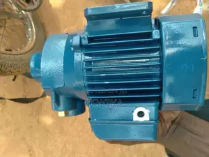 Pedrollo Water Pump 0.5 HP