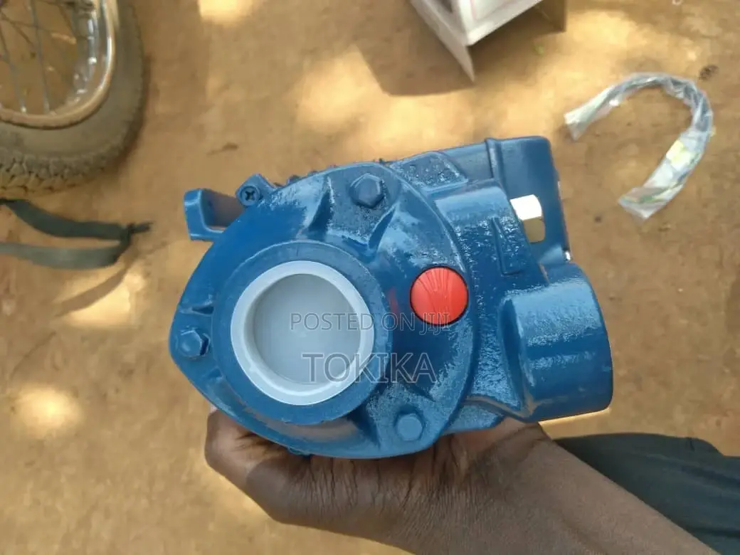 Pedrollo Water Pump 0.5 HP