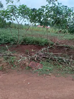 2acre's of Is Available for Sale in Namulonge