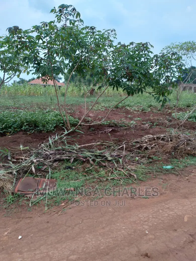 2acre's of Is Available for Sale in Namulonge