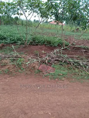 2acre's of Is Available for Sale in Namulonge