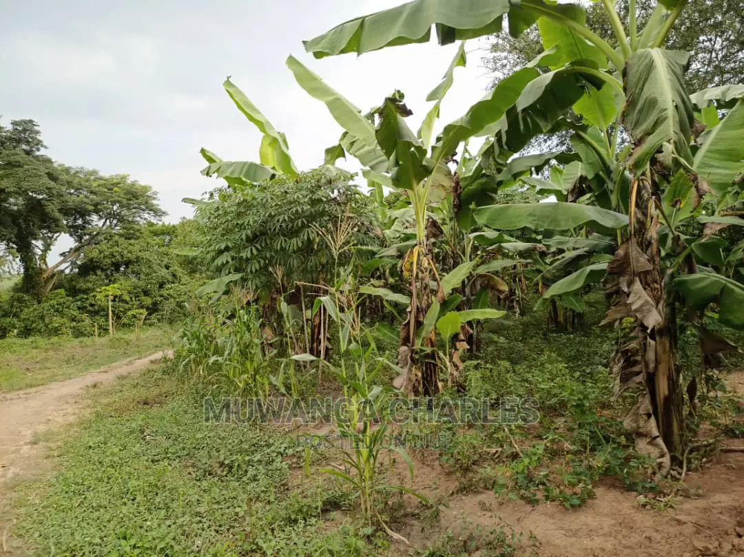 10acre's Is Available for Sale in Busika