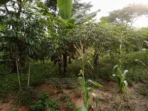 10acre's Is Available for Sale in Busika
