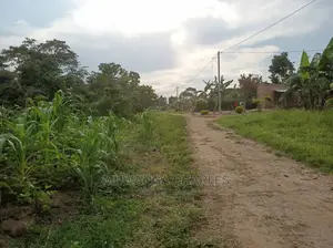 10acre's Is Available for Sale in Busika