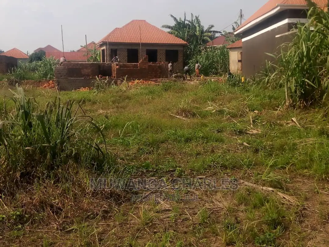 Plots Is Available for Sale in Gayaza