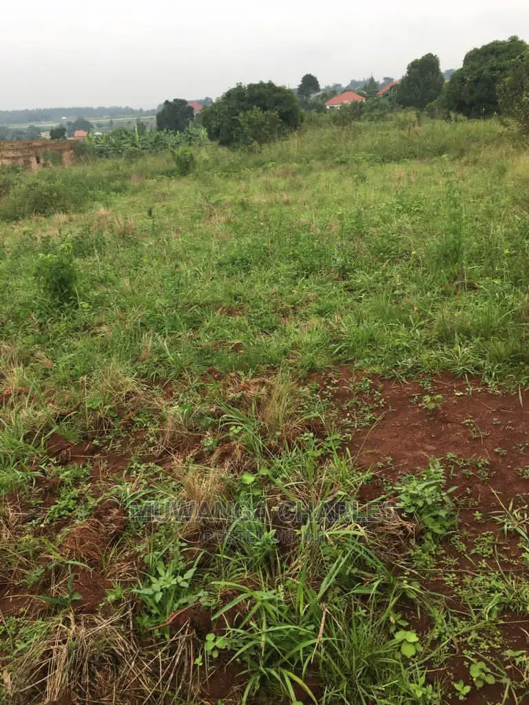 Plots Is Available for Sale in Gayaza