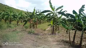 Plots Is Available for Sale in Mukono