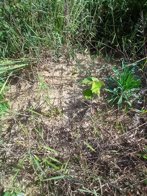 Plots Is Available for Sale in Mukono