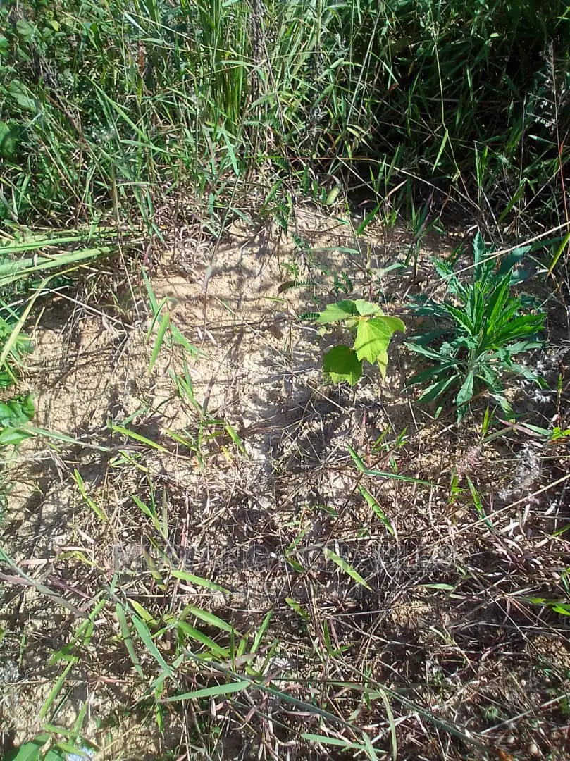 Plots Is Available for Sale in Mukono