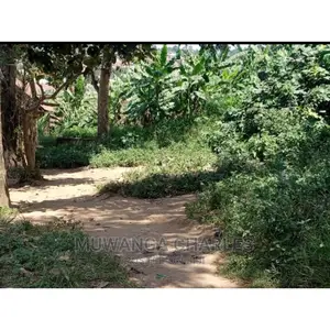 Plots Is Available for Sale in Mukono