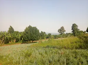 50decimals Is Available for Sale in Kigo