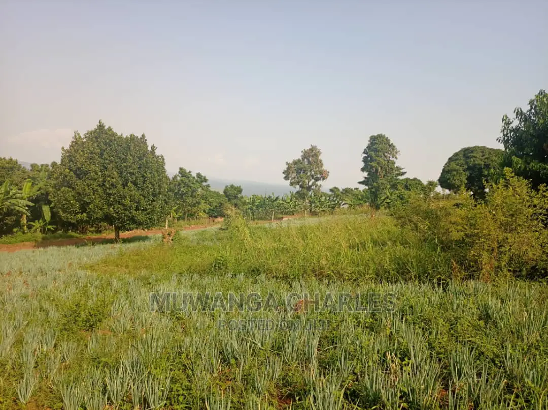 50decimals Is Available for Sale in Kigo