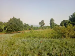 50decimals Is Available for Sale in Kigo