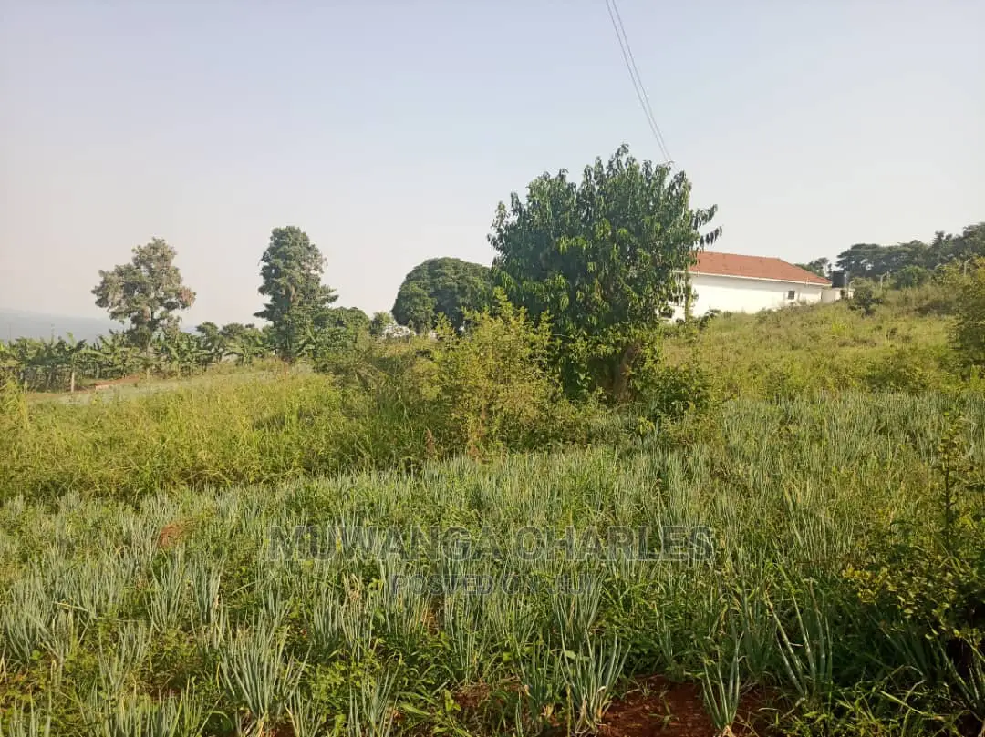 50decimals Is Available for Sale in Kigo