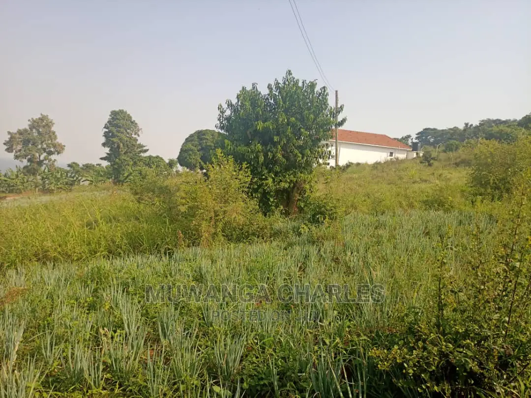 50decimals Is Available for Sale in Kigo