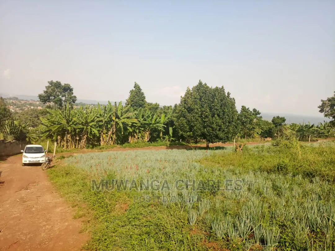 50decimals Is Available for Sale in Kigo