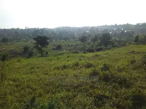 Nakwero Gayaza 25 Decimals on Sale