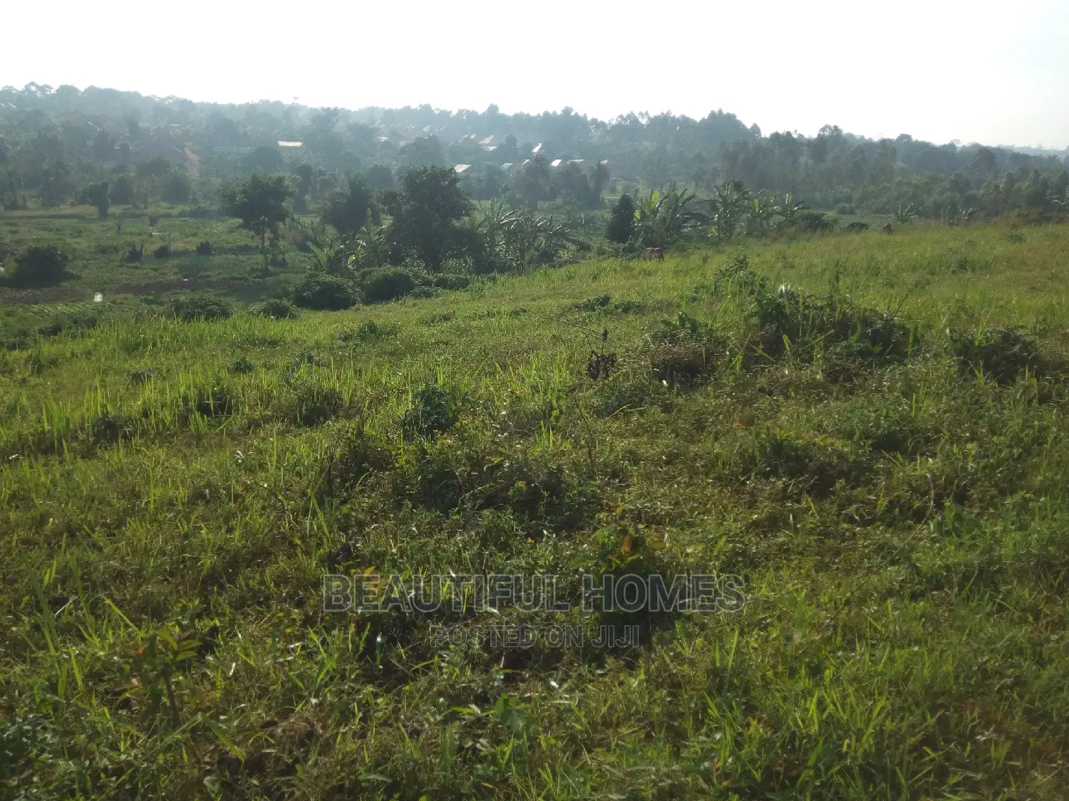 Nakwero Gayaza 25 Decimals on Sale