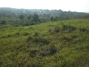 Nakwero Gayaza 25 Decimals on Sale