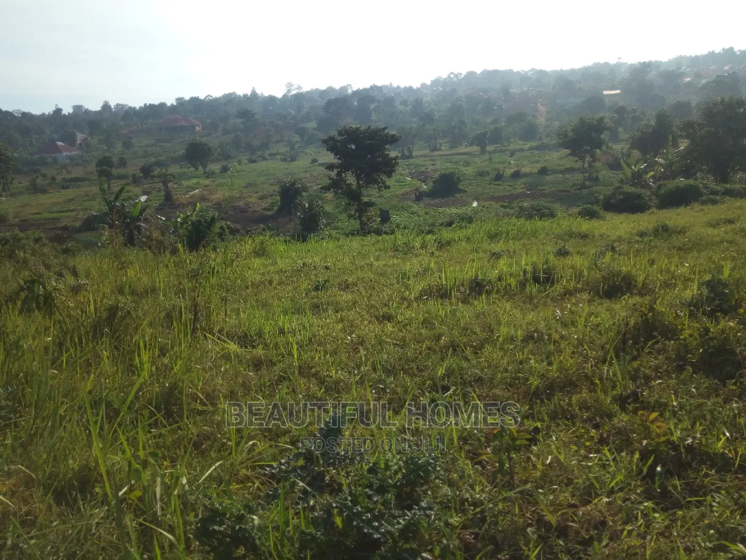 Nakwero Gayaza 25 Decimals on Sale