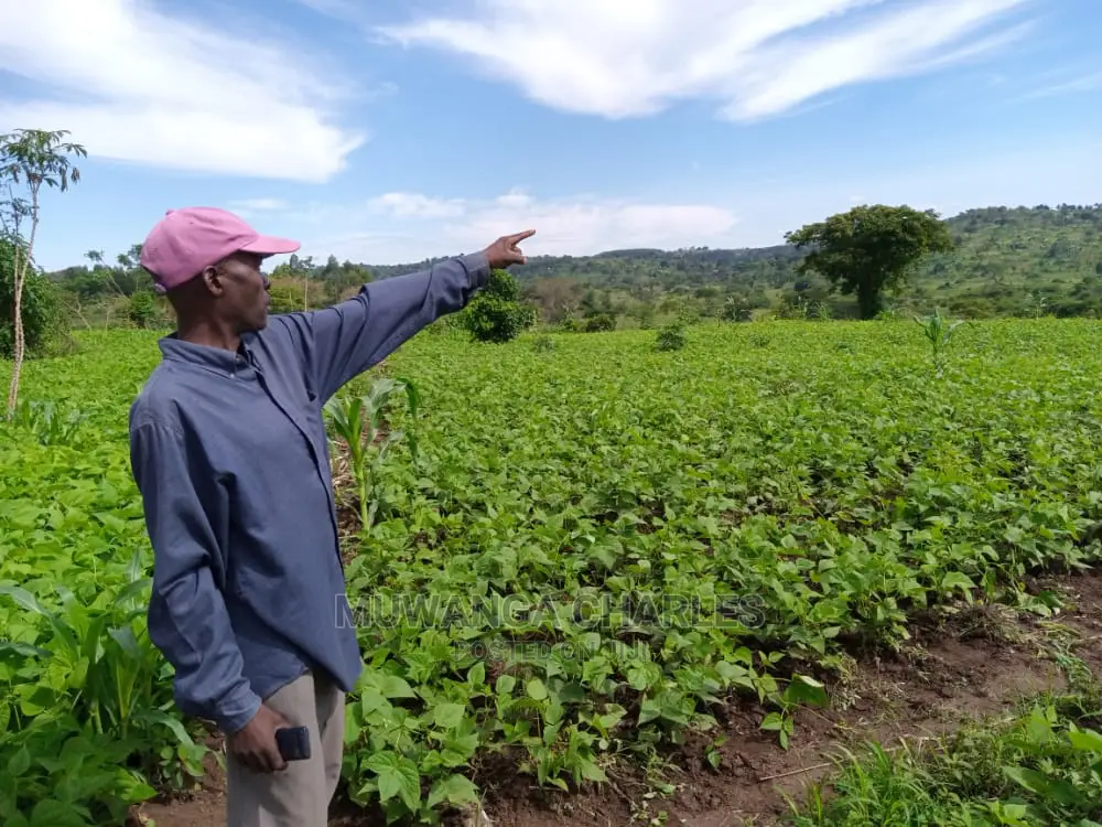 20acre's Is Available for Sale in Nakaseke