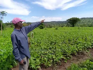 20acre's Is Available for Sale in Nakaseke