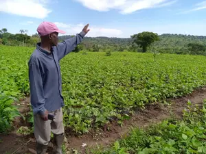 20acre's Is Available for Sale in Nakaseke