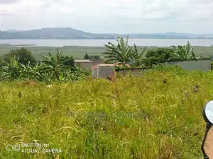 Plots Is Available for Sale in Kajjansi Bweya