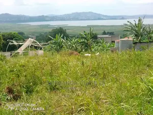 25decimals Is Available for Sale in Bwebajja