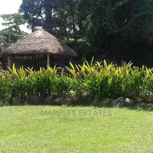 4bdrm Bungalow in Naguru, Kampala for Rent