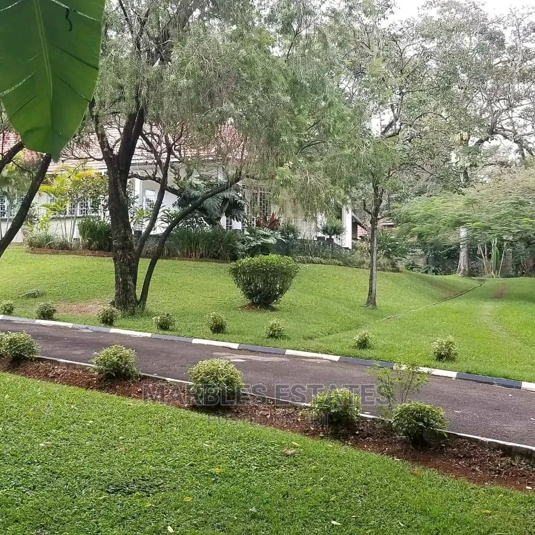 4bdrm Bungalow in Kololo, Kampala for rent
