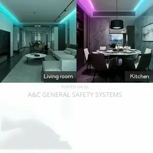 Neon Strip Lighting