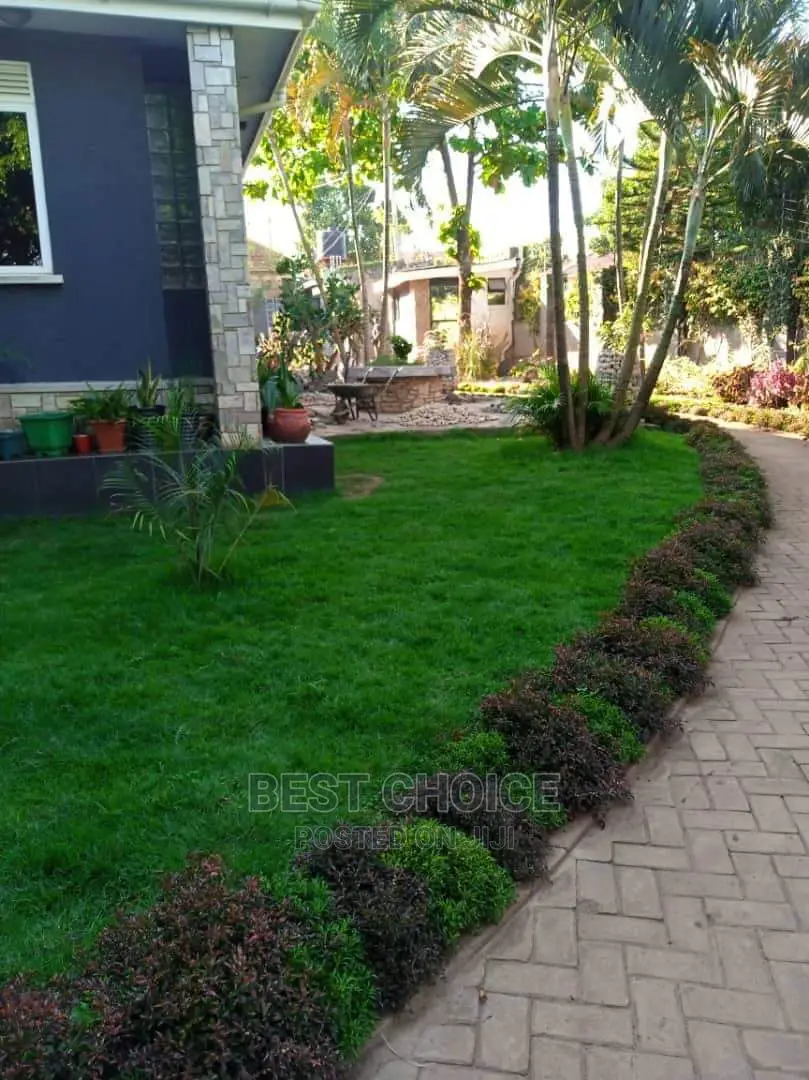 Grass Planting,Compound Designing,Land Scarping.