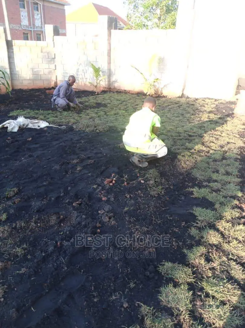 Grass Planting,Compound Designing,Land Scarping.
