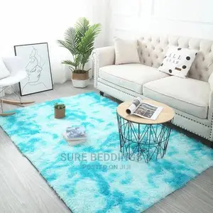 Modern Soft Fluffy Carpets
