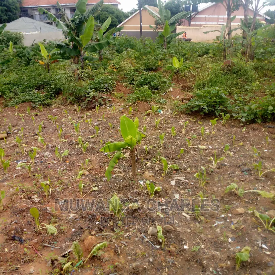 25decimals Is Available for Sale in Kyaliwajara