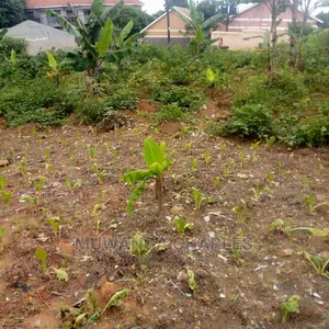 25decimals Is Available for Sale in Kyaliwajara