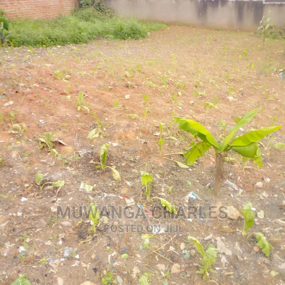 25decimals Is Available for Sale in Kyaliwajara